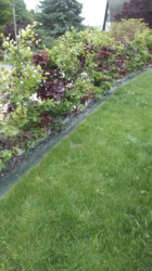 Création de jardin à Beauvais